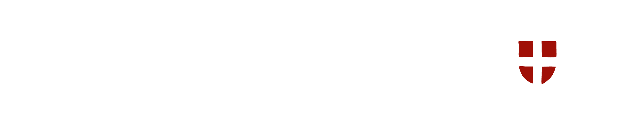 SNOWLEADER